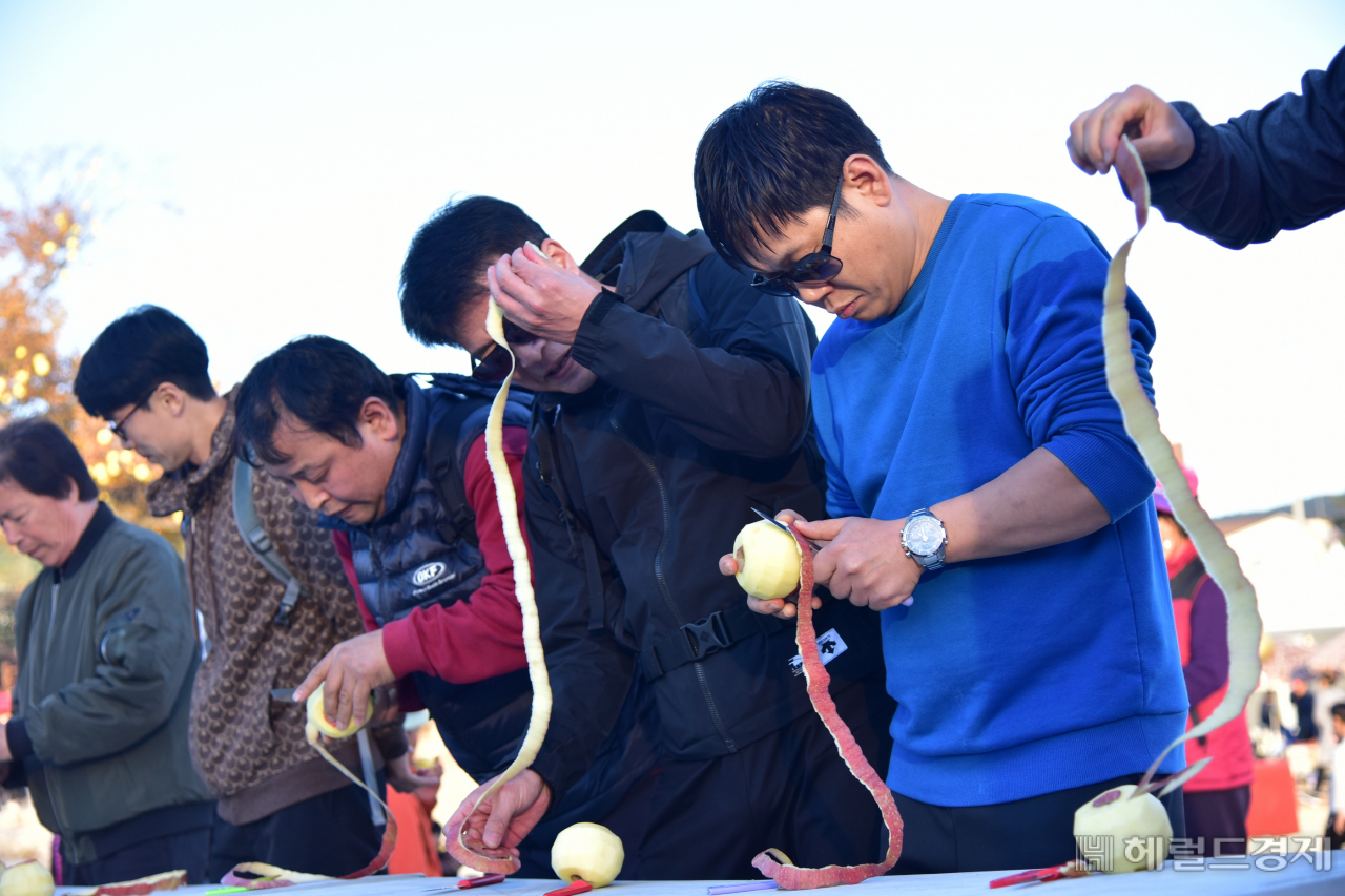 2018년 열린 청송사과축제 모습.[청송군 제공]