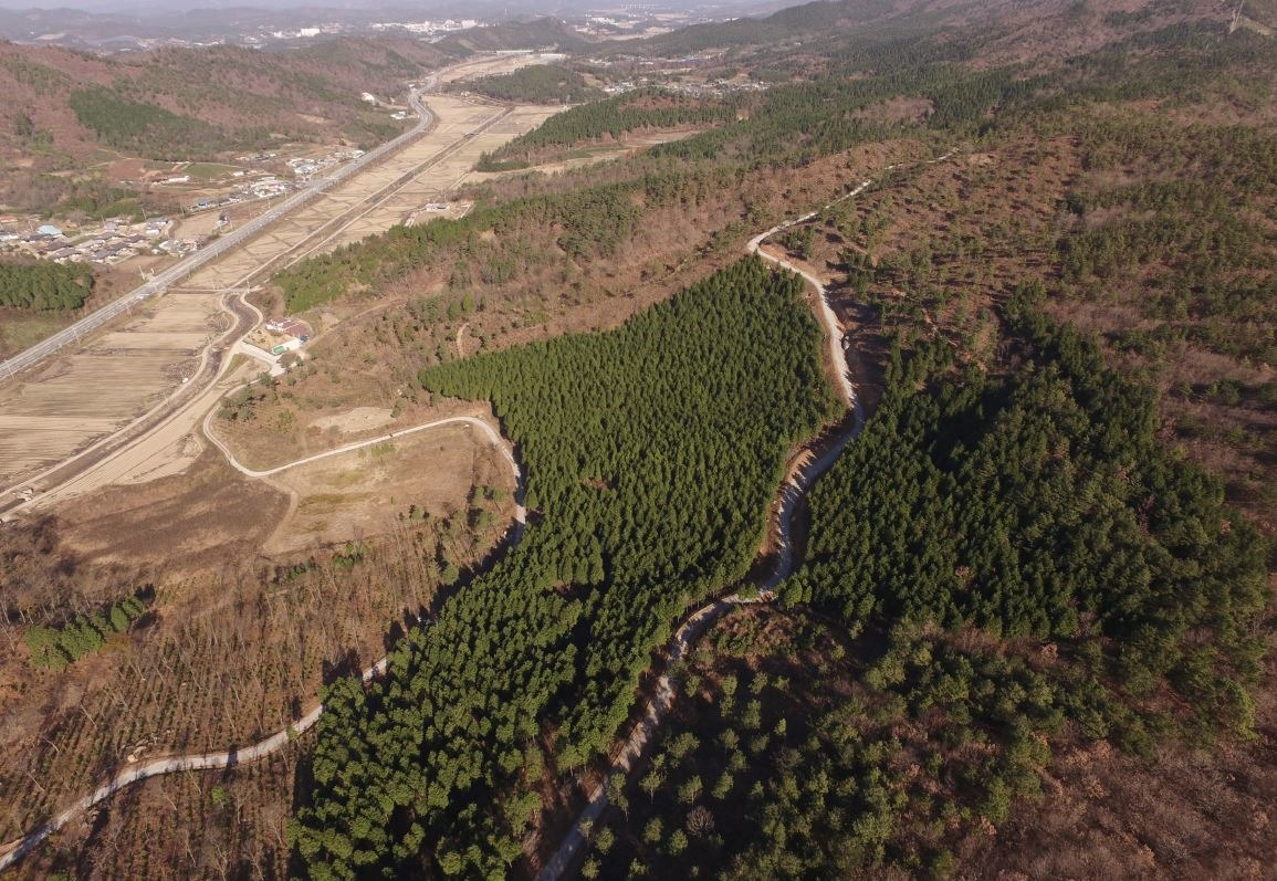 전남 보성에 위치한 봉화산 선도 산림경영단지 전경