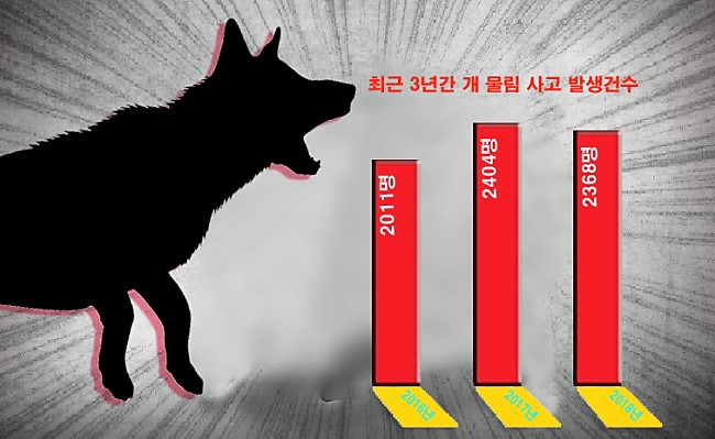 개물림 사고 그래픽 [헤럴드DB]