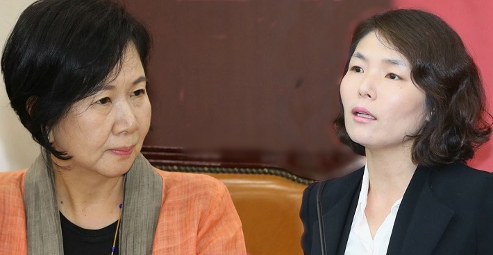 손혜원 무소속 의원(왼쪽)이 전희경 자유한국당 대변인의 ‘공직찬스’논평과 관련 허위사실 유포와 명예훼손을 이유로 경찰에 고소했다고 30일 자신의 SNS를 통해 밝혔다. [사진소스=연합]