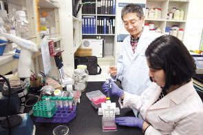 생명연 노화제어연구단 연구진이 노인성 근감소증 치료제 성분을 확인하는 실험을 진행하고 있다. [한국생명공학연구원 제공]