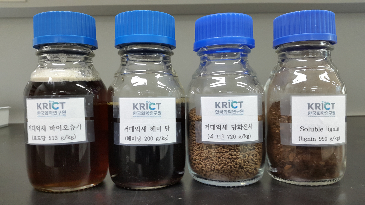 바이오슈가 및 부산물 견본.[한국화학연구원 제공]