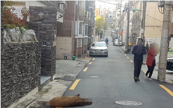 (부산경찰청-연합뉴스)