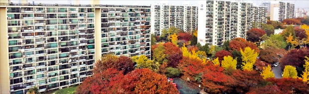 정부가 분양가 상한제 대상 지역으로 지정한 27개 동 중 한 곳인 서울 강남구 개포동 아파트 단지. [사진=연합뉴스]