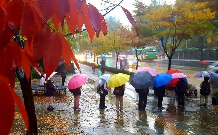 겨울 재촉하는 비 [연합]