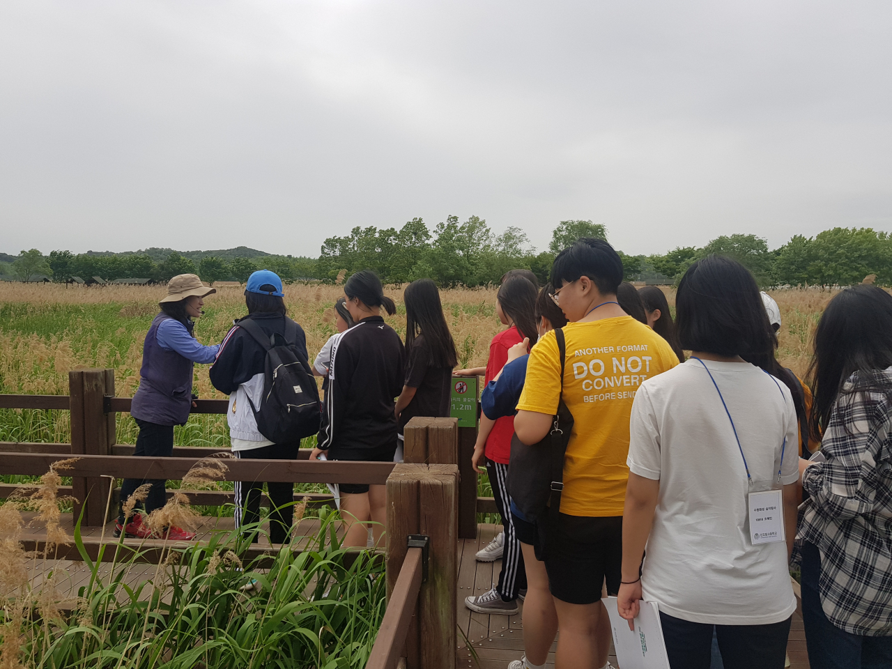 초록미래학교로 선정된 신도림고등학교 습지 탐사 모습. [서울시 제공]