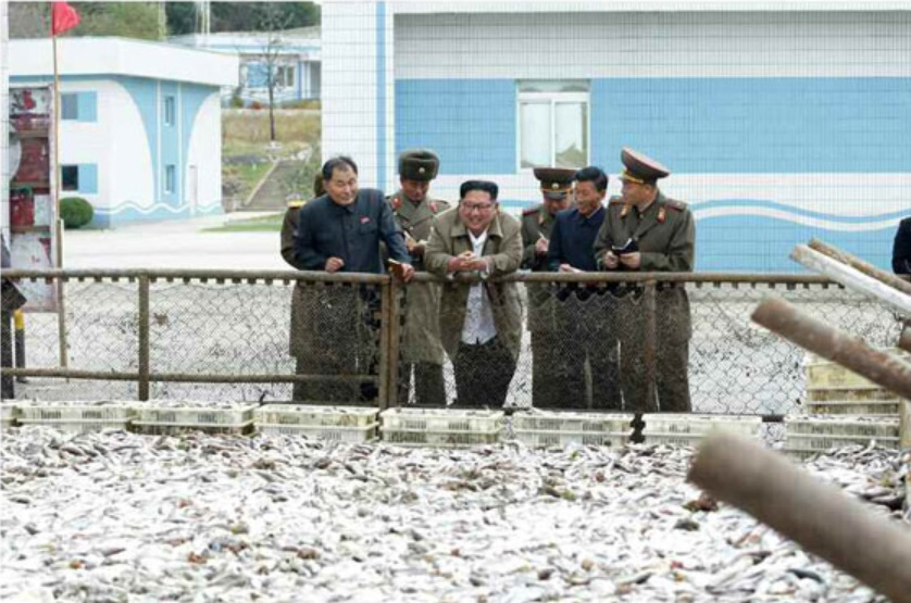 김정은 북한 국무위원장이 지난 8월 25일 수산사업소와 새로 건설한 통천물고기가공사업소를 둘러보고 있다. [헤럴드DB]