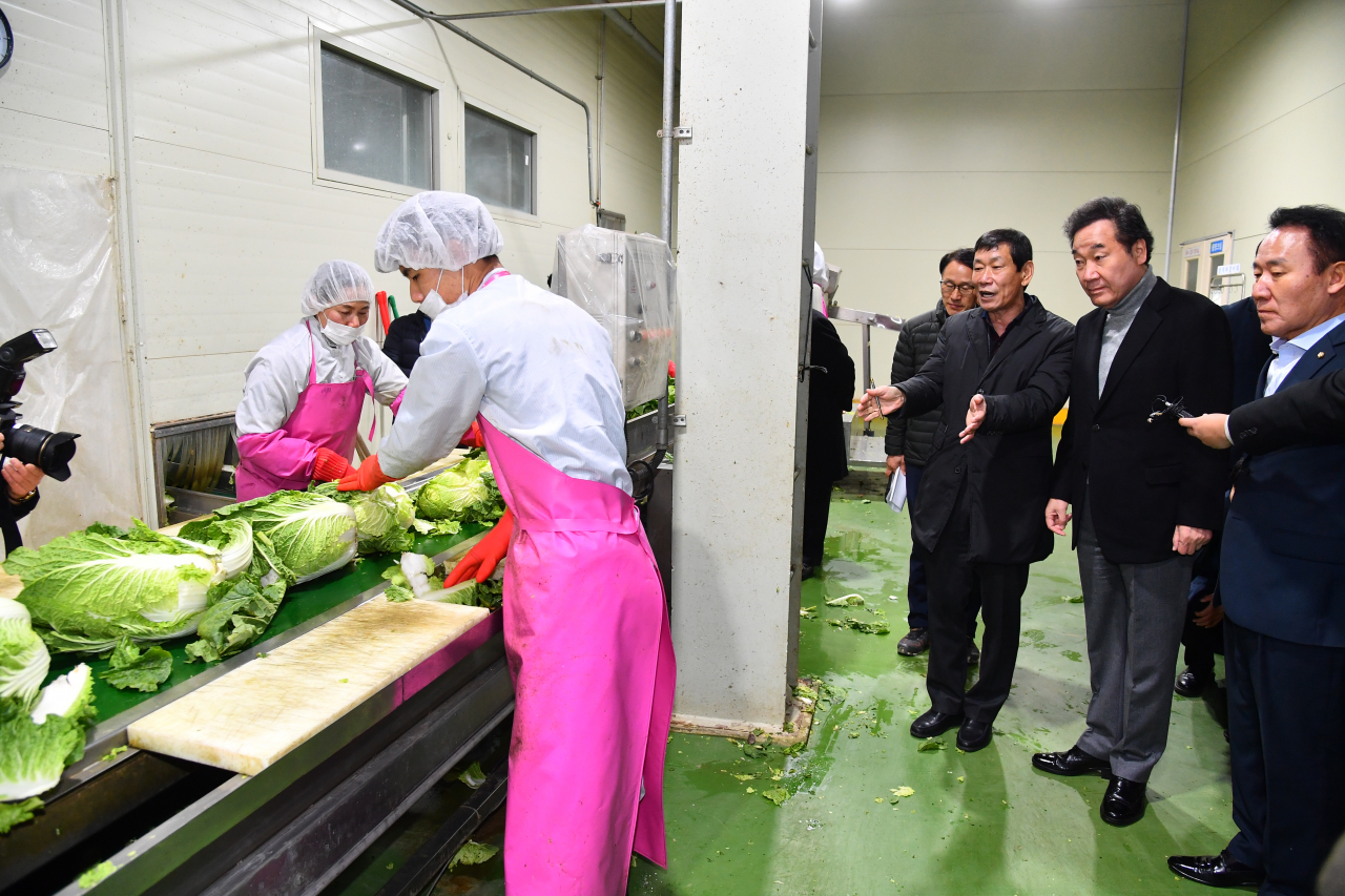 이낙연(오른쪽 두번째) 국무총리가 23일 강원도 평창군 대관령 원예농업협동조합을 찾아 배추공정 과정을 지켜보고 있다. ［연합］