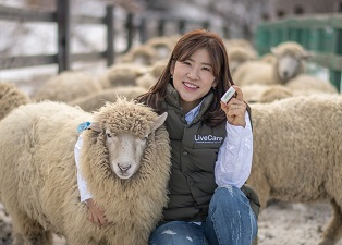 유라이크코리아 김희진 대표가 양떼 목장에서 양(羊) 전용 바이오캡슐을 선보이고 있다.