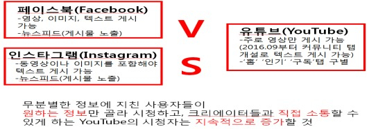 유튜브 마케팅의 전망(출처: 한국농촌경제연구원 자료(2019.1)