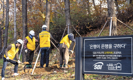 SBI저축은행은 최근 서울 송파구에서 ‘은행저축프로젝트’의 일환으로 암은행나무 이식작업을 진행했다. 공사관계자들이 가로수로 심어졌던 암은행나무를 옮겨 심는 작업을 진행하고 있다. [SBI저축은행 제공]