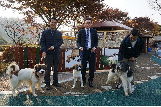 Professor Kim Min-kyu stands with a short-haired badugi Sapsaree puppy in the center, with the cloned Sapsaree father on the left and long-haired puppy on the right. (Chungnam National University Professor Kim Min-kyu)