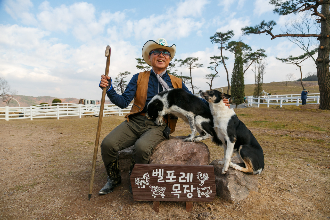 양들을 카우보이의 지시에 따라 자유자재로 몰 수 있는 영리한 보더콜리의 양몰이 공연도 흥미롭다.