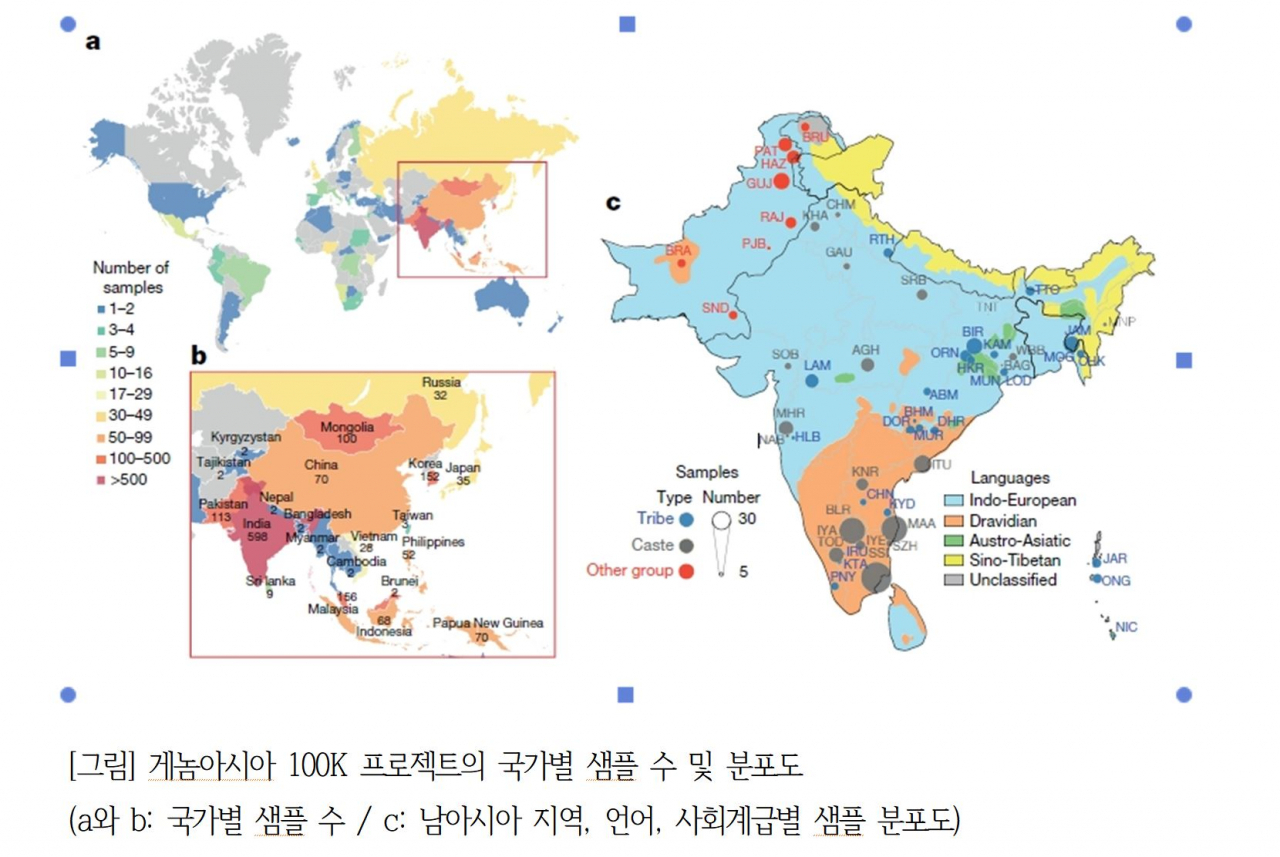 [분당서울대병원 제공]