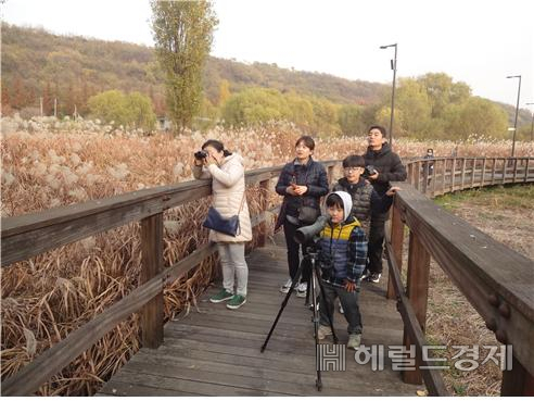 지난해 열린 겨울철새학교에 참여한 가족이 밤섬에서 겨울철새를 관찰하고 있다.[서울시]