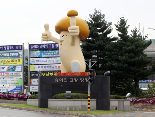 송이 조형물[양양군 제공]