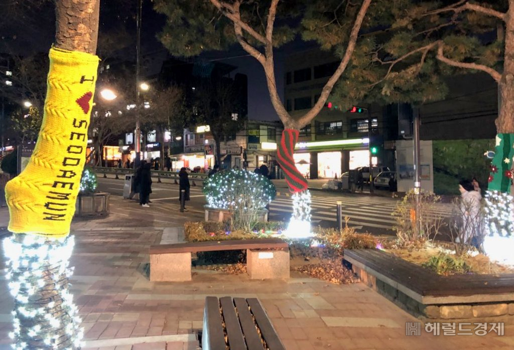 서대문구 앞 나무들이 형형색색의 손 뜨개 옷을 둘렀다. [서대문구 제공]