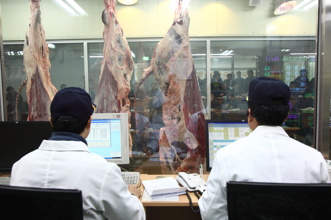 부천공판장 한우경매 현장 [농협 제공]