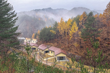 숲속 고즈넉하게 자리한 울진 금강송 에코리움의 수련동.