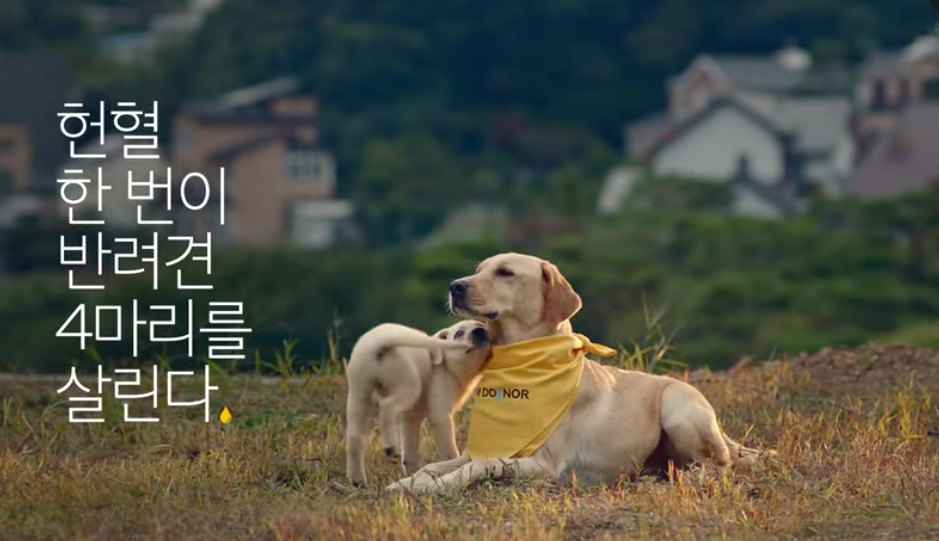 현대자동차 ‘도그너’ 광고방송 한장면. [현대차 홈페이지]