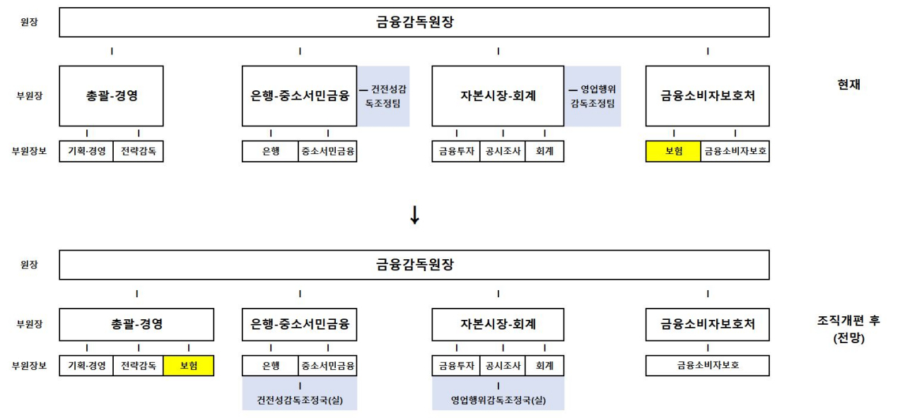 금감원 현 조직도 및 조직개편 후 전망 조직도