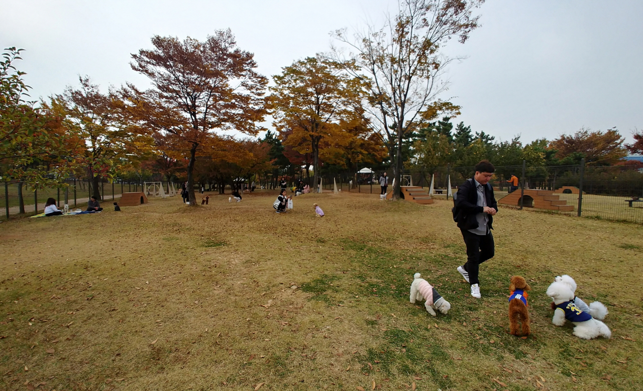 안산시 성곡반려견 놀이터는 동절기 기간동안 일시 휴장한다. [안산시 제공]