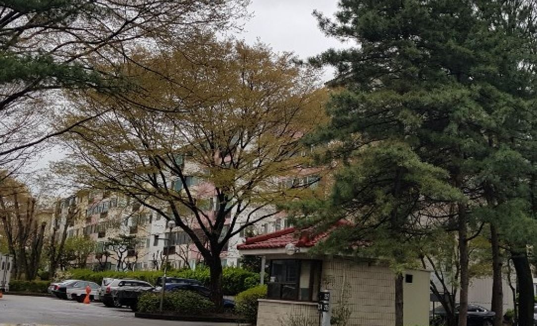 서울시 양천 목동신시가지2단지 아파트의 모습. [헤럴드경제DB]