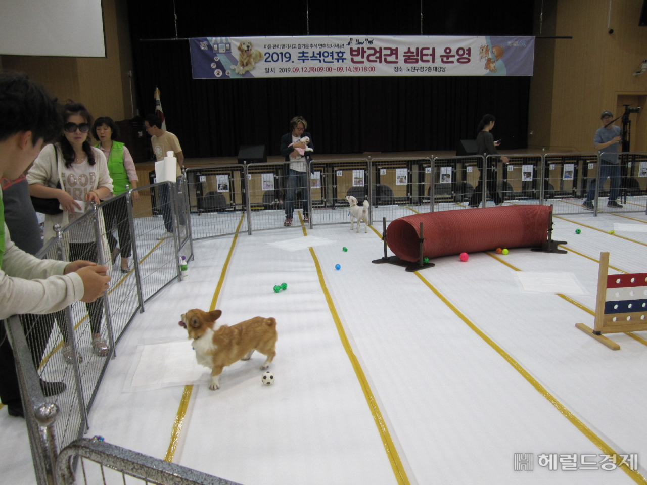 지난해 추석에 실시된 반려견 쉼터.