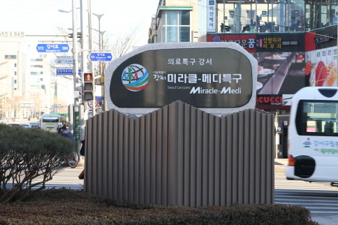미라클메디특구 간판석.