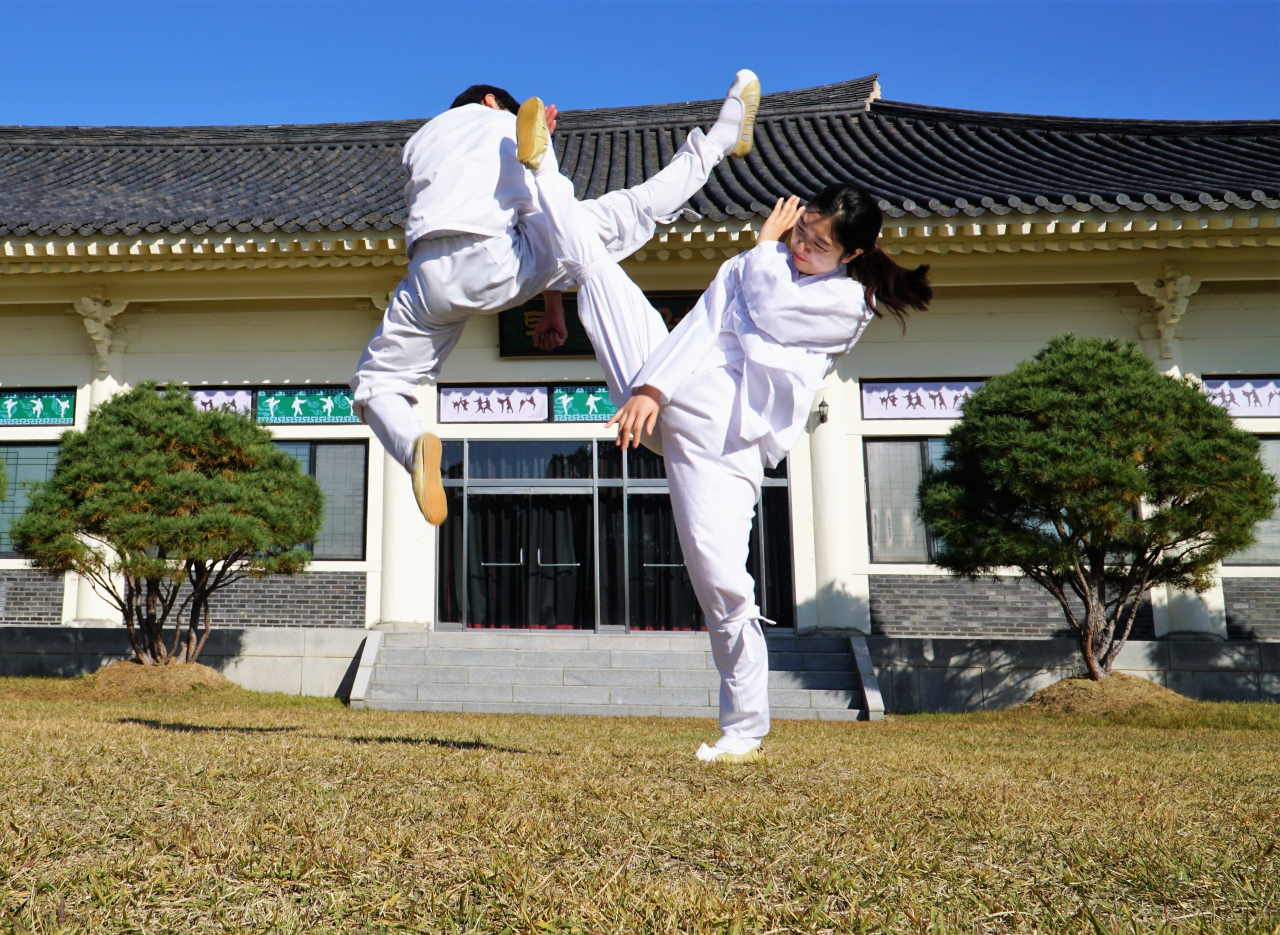 충주 택견, 문혜민의 발차기.