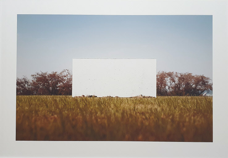 이명호, 드러낸 21, 종이에 잉크, 78x110xm, 2019 [사비나미술관 제공]