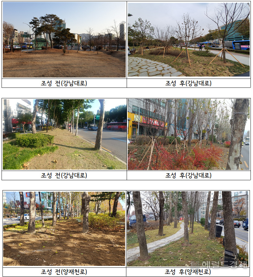바람길 숲 조성 전과 후의 모습. [서초구 제공]