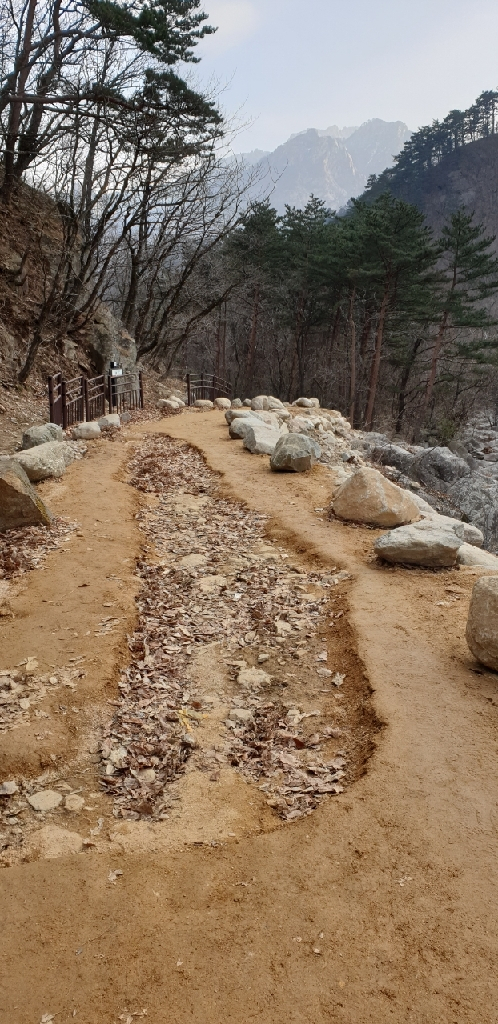 설악산 등산로가 초입부터 깊게 패였다.[독자제공]