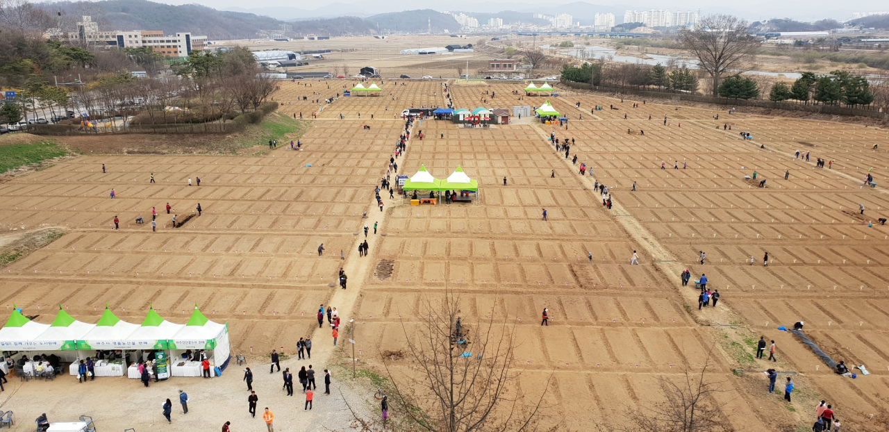 파주주말농장. [파주시]