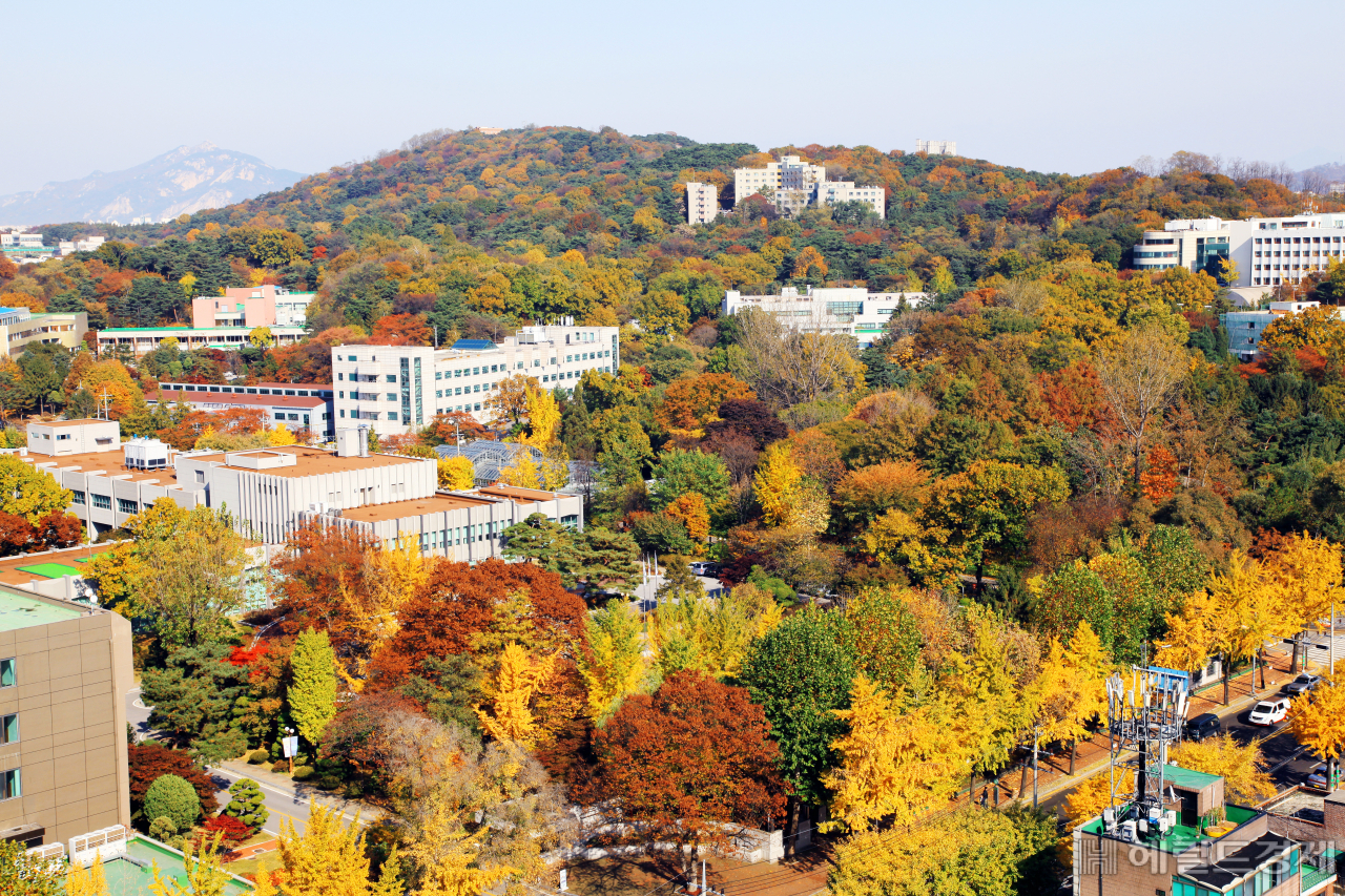 천장산 전경.
