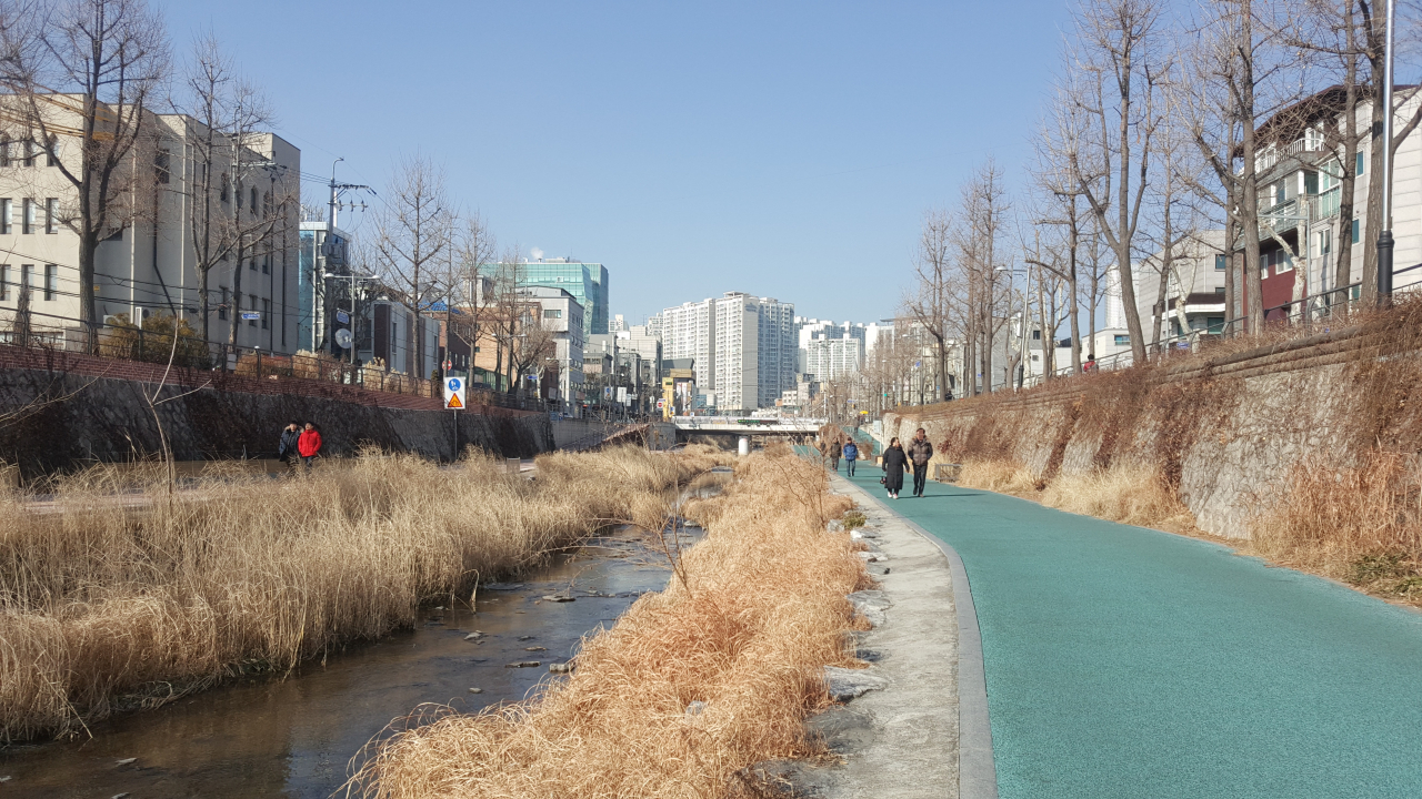 성북천은 한성대입구역에서 시작해 청계천까지 3.6km로 늘 많은 주민들이 산책이나 자전거 라이딩을 즐기고 있다.