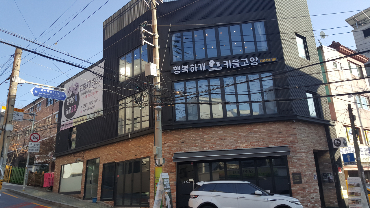 주택가인데도 대형 애견 호텔·카페가 있다.
