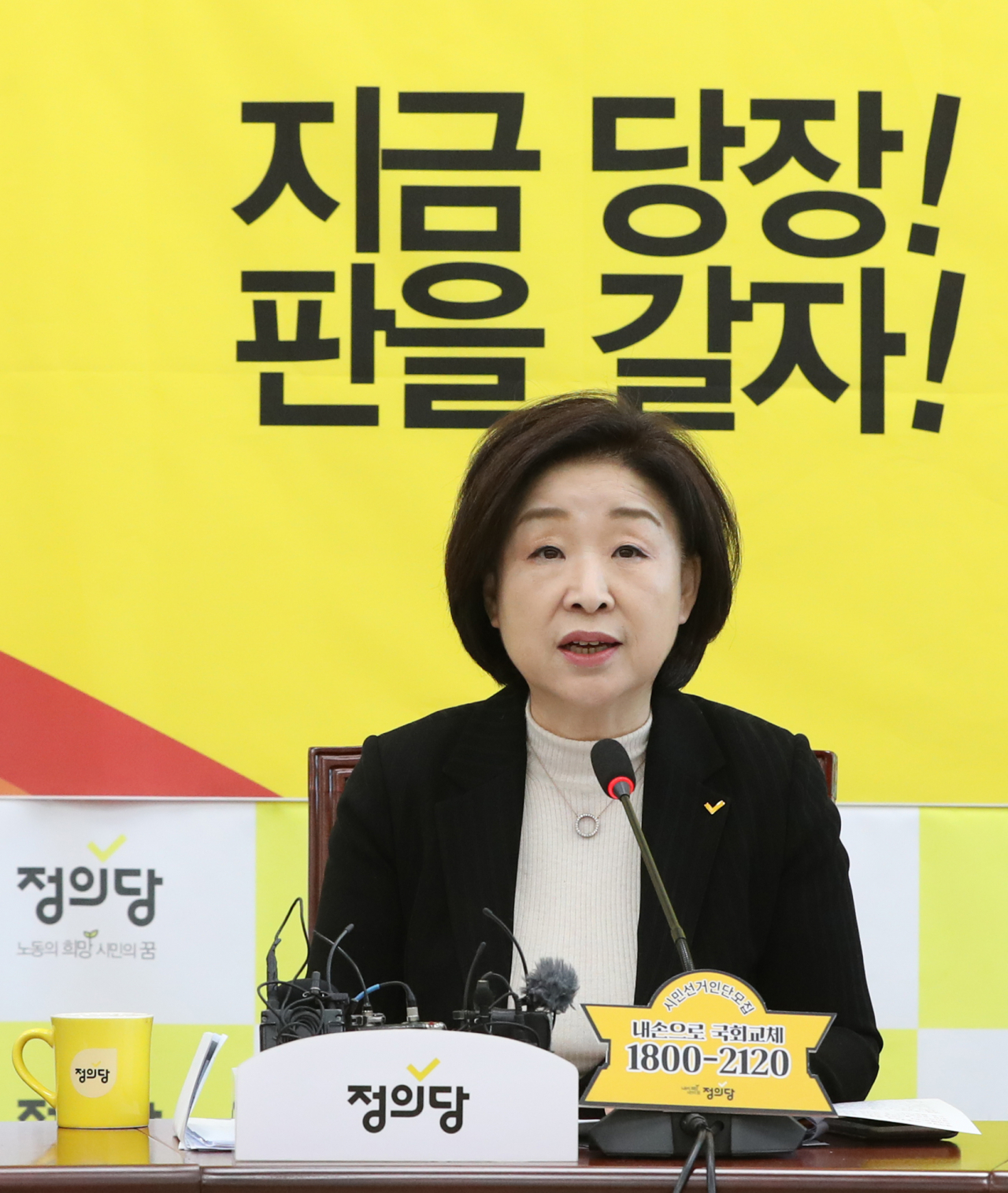 심상정 정의당 대표가 지난 20일 오전 서울 여의도 국회에서 열린 상무위원회 회의에서 발언하고 있다. [연합]