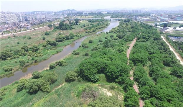 광주 광산구 황룡강 장록습지. [광주시 제공]