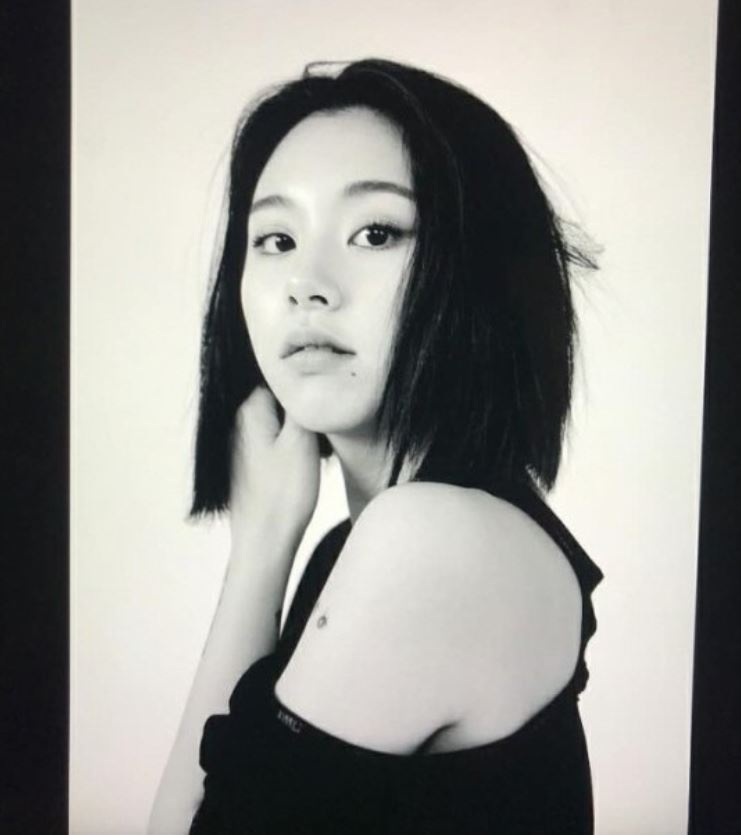 Chaeyoung (Twice’s Instagram)