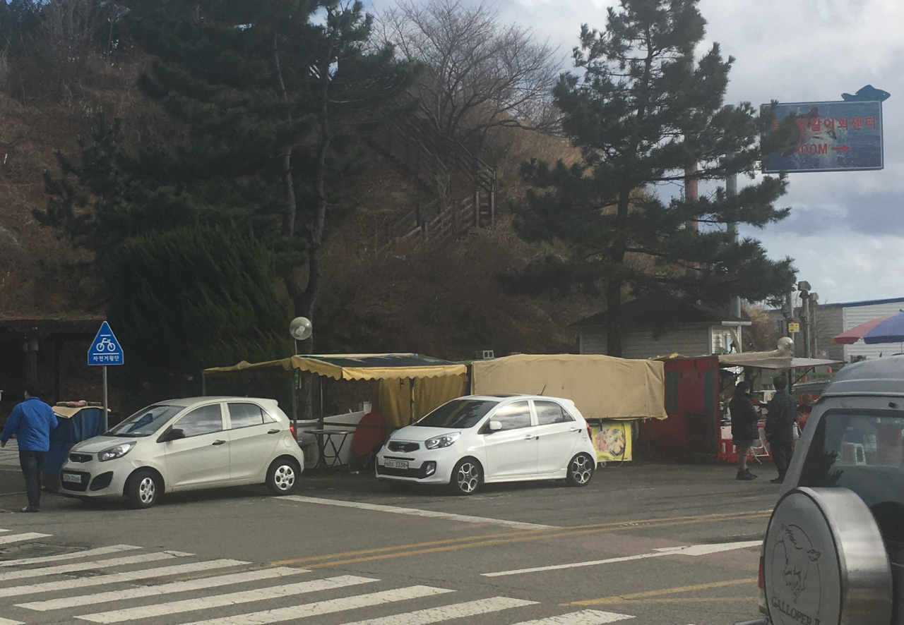 동명항 입구에 자진철거된 불법포차자리에 또 불법포차가 들어섰다(왼쪽끝)