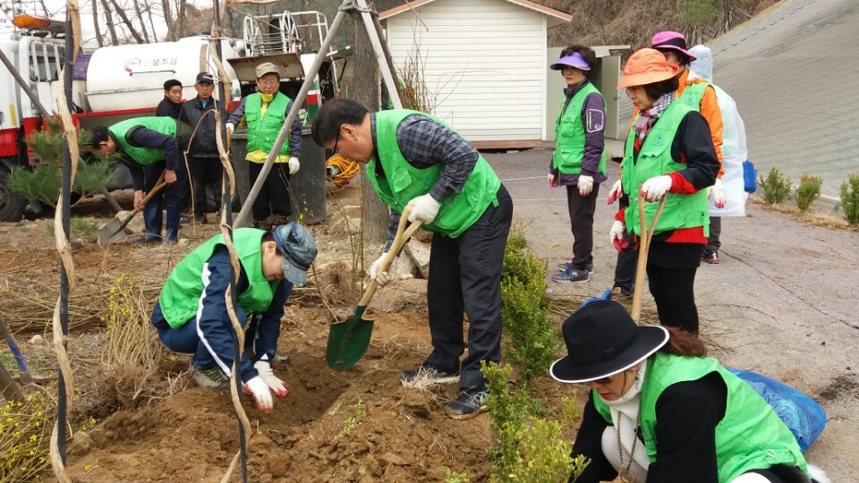 주민 공동체에서 나무를 심고 있는 모습. [강서구 제공]