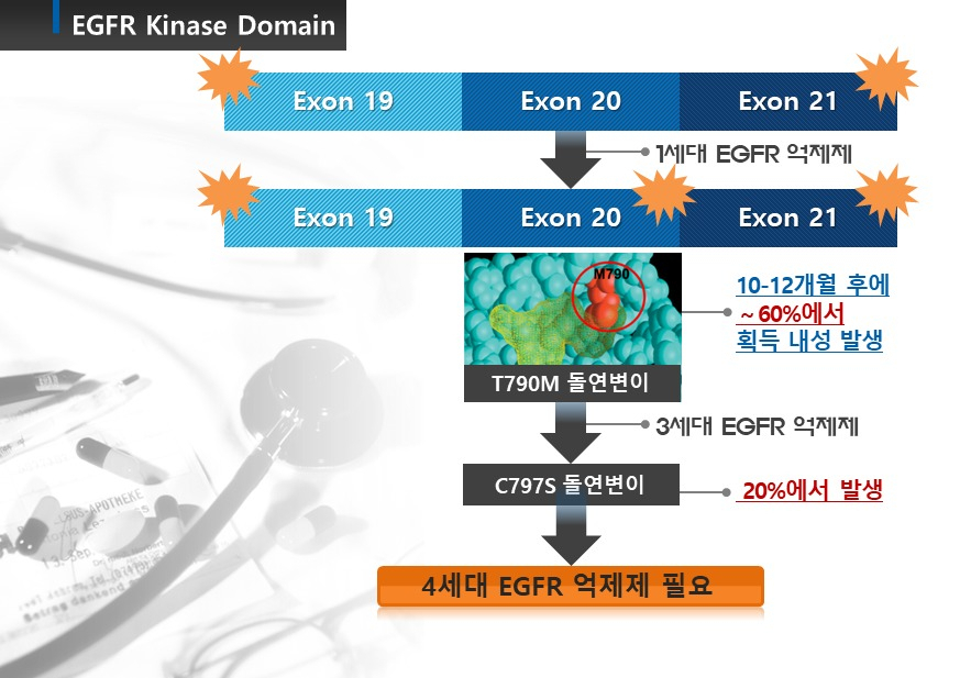 한국화학연구원 이광호 박사팀과 연세암병원 조병철 교수팀의 폐암 치료제(EGFR 억제제) 개념도.[한국화학연구원 제공]