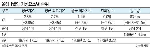 따뜻한 올 겨울…13년만에 한강도 얼지 않는다