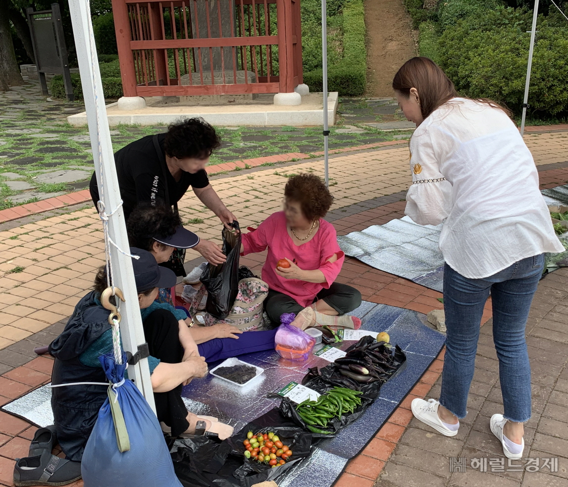 도시농부 장터에서 구민이 직접 키운 작물을 팔고 있다. [구로구 제공]