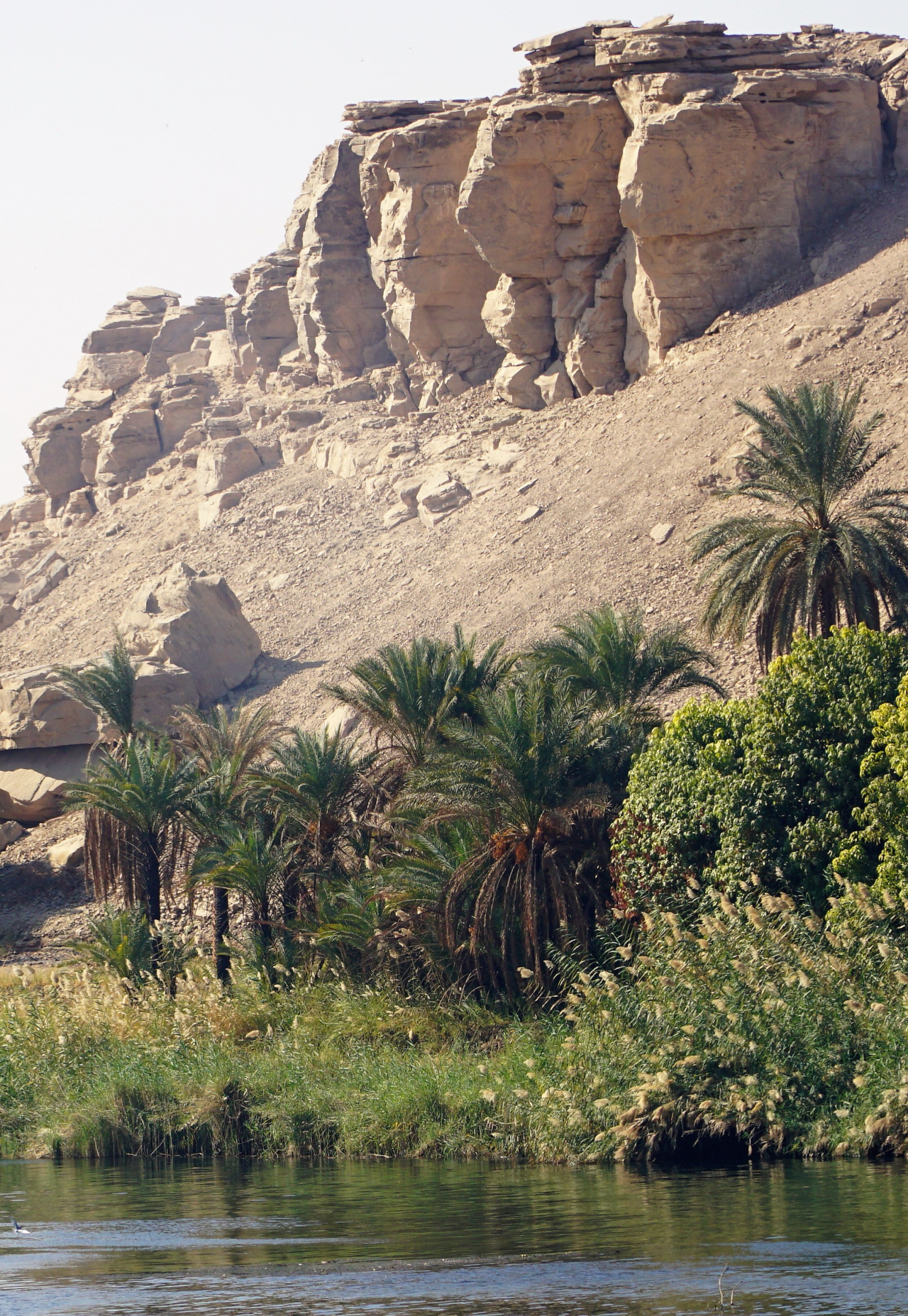 나일강변 큰바위얼굴