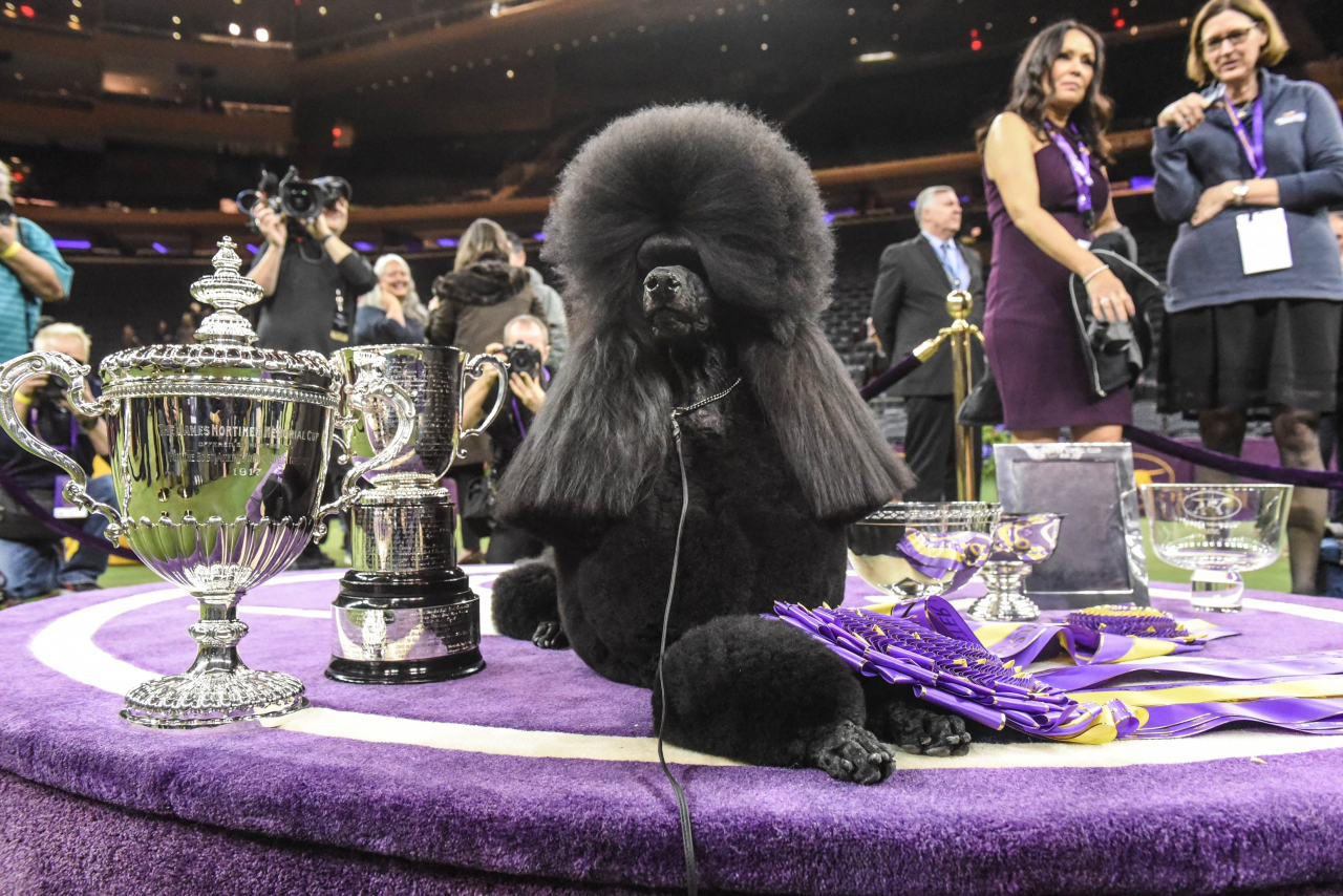 Getty Images