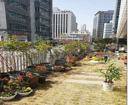 도화동자원봉사캠프 공동체정원조성 후 모습. [마포구 제공]