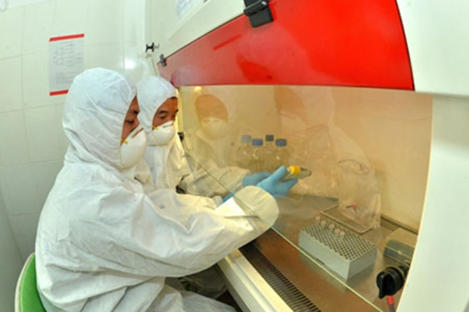 유엔 식량농업기구(FAO) 측이 북한의 코로나19 확진자가 발생하지 않았다는 주장에 의구심을 제기했다는 보도는 FAO 직원 이메일 계정 해킹에 따른 오보인 것으로 파악됐다. 북한 매체에 공개된 의료관계자가 코로나19 대응 약물을 연구하는 모습. [헤럴드DB]