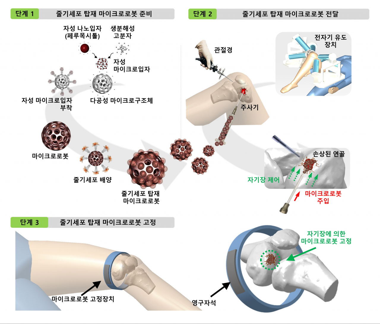 줄기세포 탑재 마이크로로봇을 이용한 무릎 연골 재생 시술 개념도.[한국마이크로의료로봇연구원 제공]